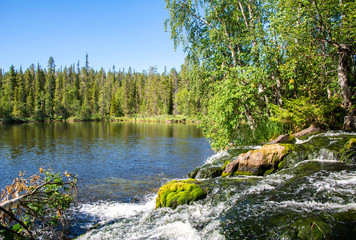 View of the rapids and forest, Akasmylly, Muonio, Finland