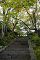秋の気配がみられる常寂光寺の境内