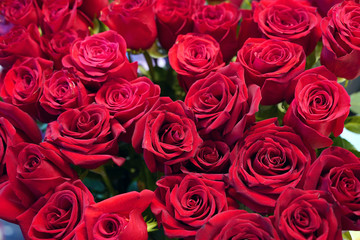Bunch of beautiful roses flower