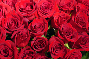 bouquet of natural red roses