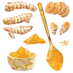 Watercolor set of turmeric roots and powder.