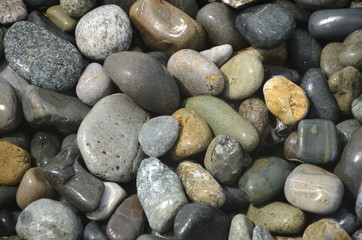 pebbles on the beach