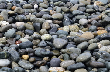 pebbles on the beach