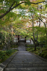 秋の気配がみられる常寂光寺の境内