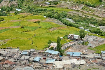 Aryan buddhist village Hanu Gogma deep inside of Ladakh, India