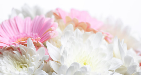 Still life of flowers on white background