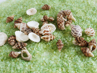 sea salt in a spoon. with shells and a starfish. selective focus