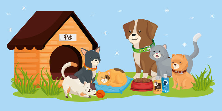 cute dogs with cats and icons vector illustration design