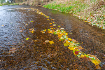 river Dyje South Moravia Czech Republic