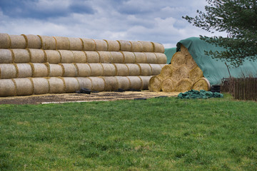 Gro&szlig;e Strohballen als Vorrat f&uuml;r den Winter