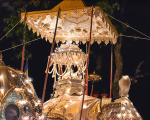 Elephant carrying the tooth ofr Buddha relic during the Esala Perahera Festival