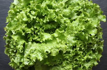 Photography of a batavia lettuce salad head on slate for food background