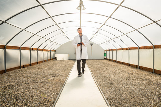 Biologist in empty greenhouse, inspecting the construction and documenting in tablet. Montana, USA