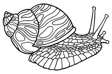 Vector illustration. Hand drawing snail. Coloring page. The original print. Illustration for a children's book. Coloring book for children and adults. © Okliii