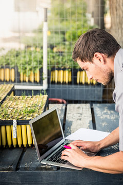 Biologist in greenhouse lab, inspecting seedlings and documenting all in laptop. Montana, USA