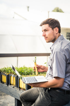 Biologist in greenhouse lab, inspecting plants and documenting all in laptop. Montana, USA