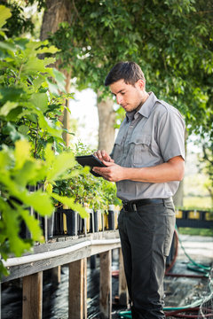 Biologist in nursery greenhouse, inspecting and documenting plant growth. Montana, USA