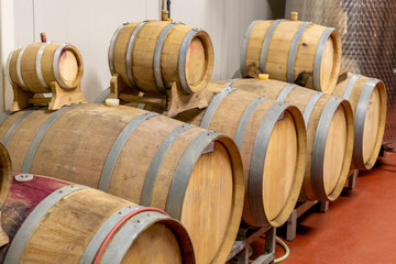 wine cellar with wooden barrels, Southern Moravia, Czech Republic