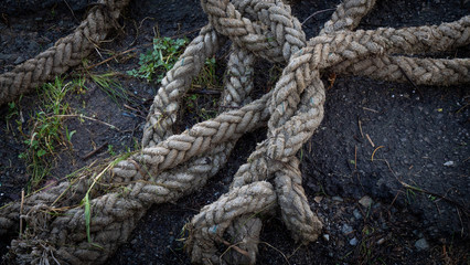 Old Rope