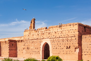 Marrakech bociany mur dzień
