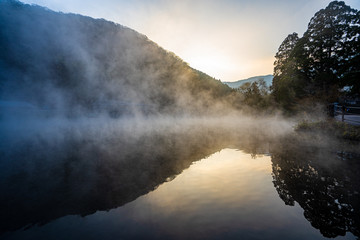 Fototapeta premium reflection in foggy water, kinrinko, oita, japan