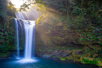 waterfall in forest, jion no taki, ohita, japan