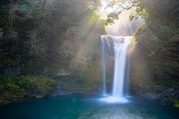 waterfall in forest, jion no taki, ohita, japan - obrazy, fototapety, plakaty