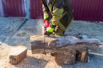 man sawing a big tree with a chainsaw. Sawdust. Close-up