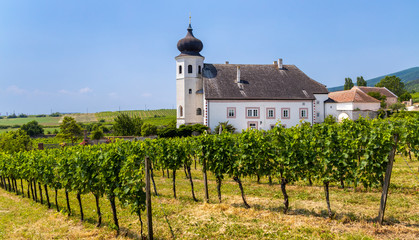 Fototapeta na wymiar Monastery winery Thallern near Gumpoldskirchen, Lower Austria, Austria