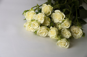 A bouquet of white roses on a white background, without processing.