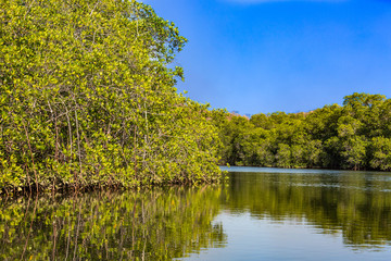 Padre Ramos natural reserve Chinandega Nicaragua