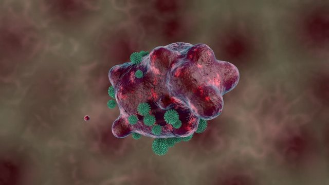 3D animation of a red microorganism that is attacked by green antibodies or viruses. The organism pulsates and is reduced.