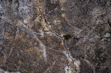 old cement cracked construction