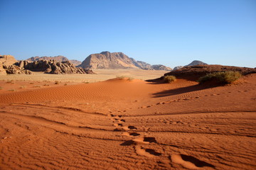 Fototapeta na wymiar Wadi Rum desert in jordan