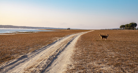 Obraz premium sunrise at the reservoir Montargil Ponte de Sor Alentejo Portugal