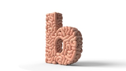 human brain in shape of letter b. 3D illustration