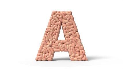 human brain in shape of letter A. 3D illustration