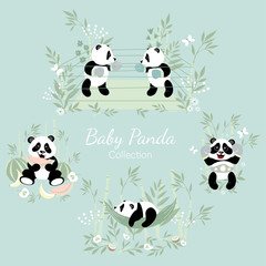 Baby panda collection. Little pandas are engaged in boxing, a little panda sleeps in a hammock, a panda eats a watermelon.