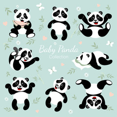 Obraz premium Baby panda collection. Little pandas have fun. The illustrations are decorated with bamboo, flowers, hearts, butterflies.