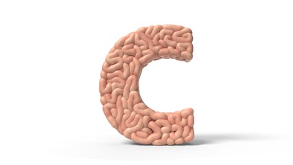 human brain in shape of letter C. 3D illustration