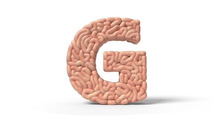 human brain in shape of letter G. 3D illustration
