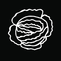  Vector illustration. Close-up vegetables cabbage on isolated black background. Cover design, banner.