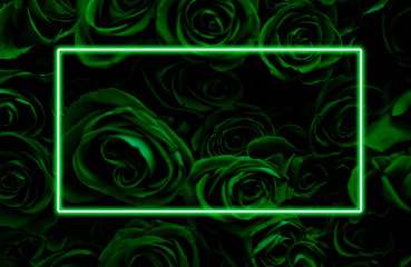 Background of green roses with a neon glowing frame