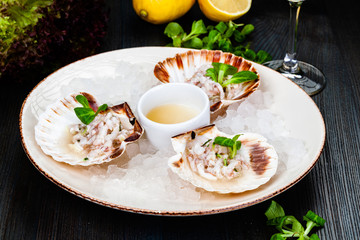 Ceviche. Finely chopped raw squid marinated in lemon juice served in seashell.