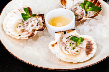 Ceviche. Finely chopped raw squid marinated in lemon juice served in seashell.
