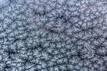 Frosty pattern on a glass surface.