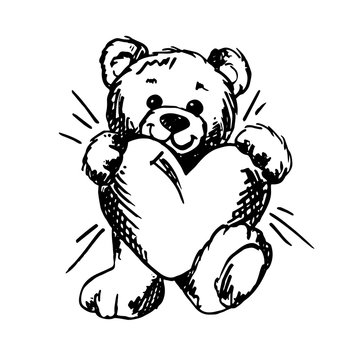 Teddy bear_ Sketch
