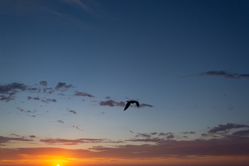 La Jolla Beach Sunset