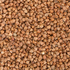 Buckwheat, background