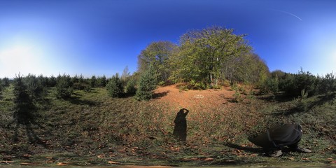 HDRI Park in Autumn Panorama